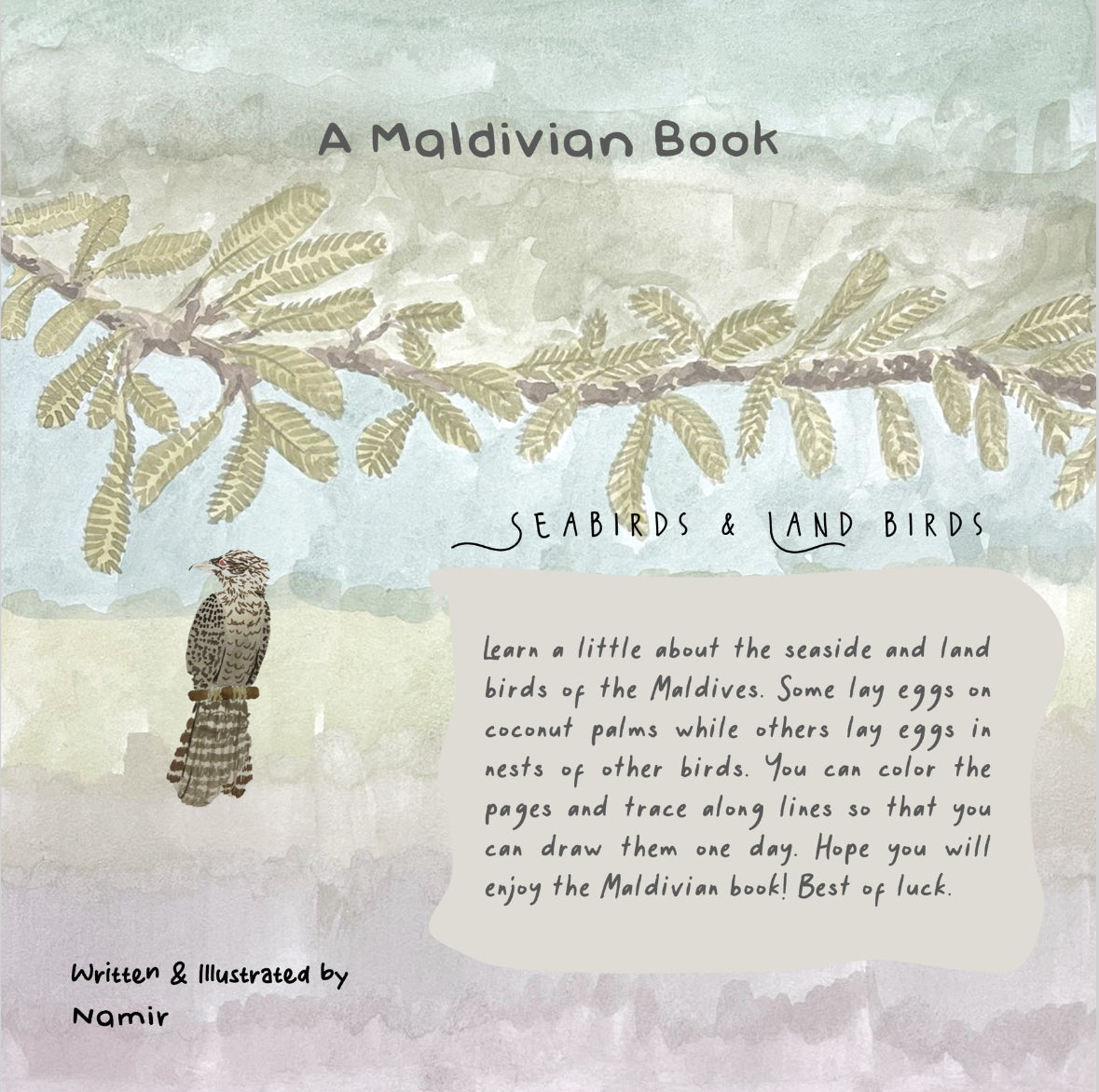 Seabirds and Land Birds